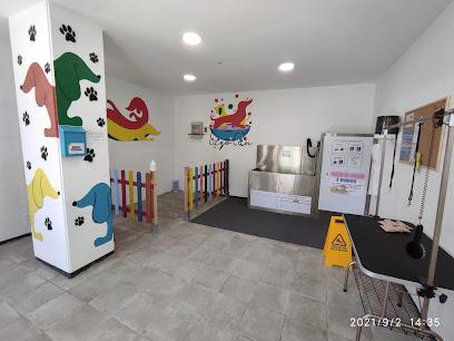 Lagocan | Peluqueria para perros en Laguna de Duero