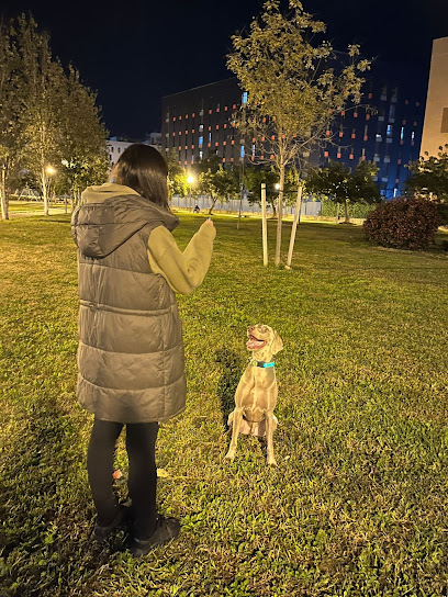 JS Adiestramiento | Adiestradores de perros en Sevilla
