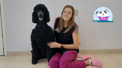 Peludetes | Peluqueria para perros en Almansa