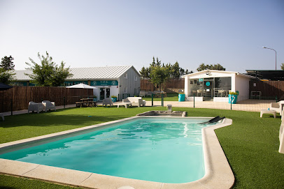 Vive - Resort para Mascotas | Guardería para perros en Las Rozas de Madrid