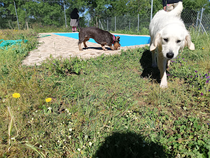 Educazen y Amalur | Guardería para perros en Aldeanueva del Camino