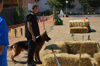 Club Canino | Adiestradores de perros en Almodovar del Rio