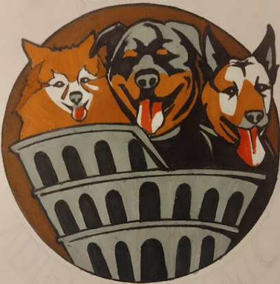 Roma Adiestramiento | Adiestradores de perros en Leganes