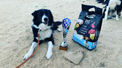 La Senda del Lobo | Guardería para perros en Ciudad Real