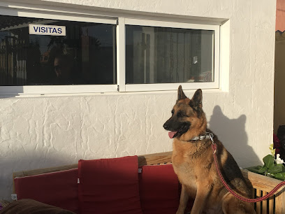 Wags and whiskers kennels & cattery | Guardería para perros en Fortuna