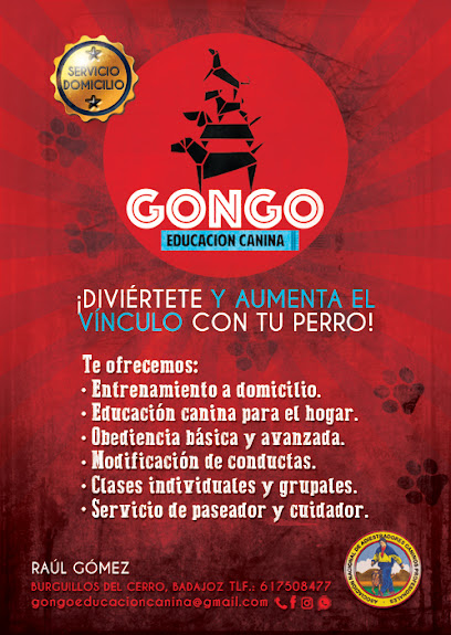 GONGO EDUCACION CANINA | Adiestradores de perros en Burguillos del Cerro