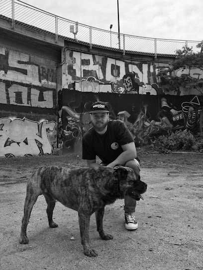 K-9 Stan | Adiestradores de perros en Barcelona