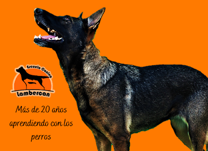Lambercan | Beiro
