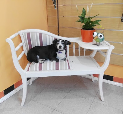 Qué Guapos | Peluqueria para perros en Pozuelo de Alarcón