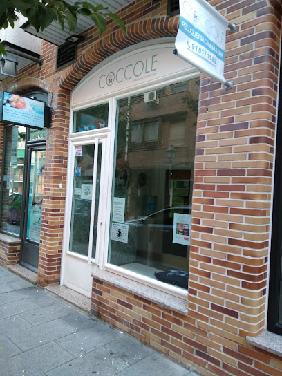 Coccole | Peluqueria para perros en Leganés