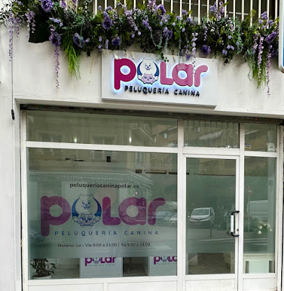 Polar | Peluqueria para perros en Madrid
