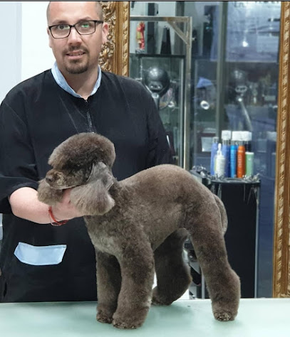 Caninet | Peluqueria para perros en ViIassar de Mar