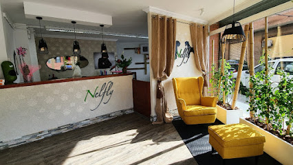 Nelfly Estilistes | Peluqueria para perros en Lleida