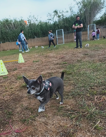 Terra Canina | Guardería para perros en Premia de Dalt