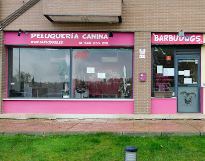 Barbudogs | Peluqueria para perros en Madrid