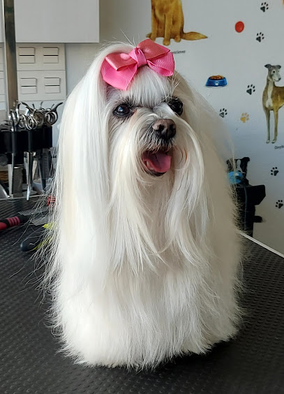 +Que Huellas | Peluqueria para perros en Vitoria-Gasteiz