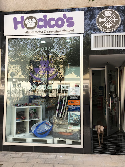 Hocico