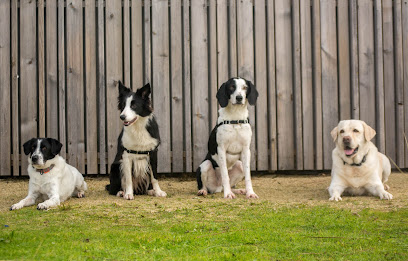 Truco Educacion Canina | Adiestradores de perros en Vigo