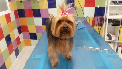 Rosales | Peluqueria para perros en Torreperogil