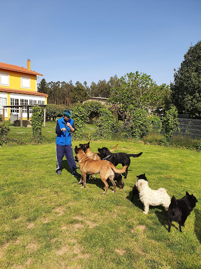 Scintillas | Adiestradores de perros en Naron