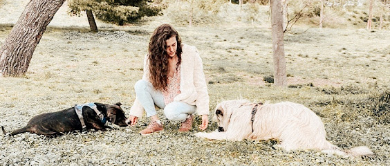MAMADOG | Adiestradores de perros en Badia del Valles