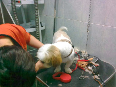 Hiperfauna | Peluqueria para perros en Madrid