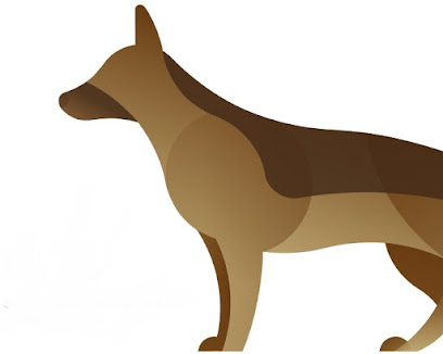 Kan9 | Adiestradores de perros en Algemesi