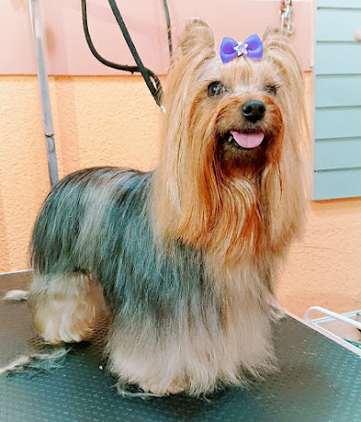 Di-Dog Badalona | Peluqueria para perros en Badalona