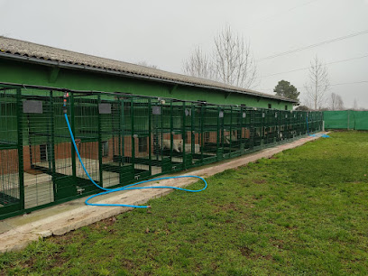 Luan Residencia Canina | Guardería para perros en Cubillos del Sil