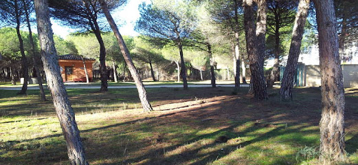 Los Valles | Guardería para perros en Laguna de Duero