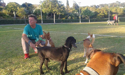 Cangudog | Adiestradores de perros en Estepona