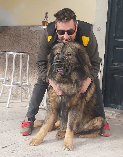 Segurcandetector | Adiestradores de perros en Valdelaguna