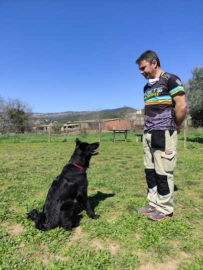 Chaman | Adiestradores de perros en L