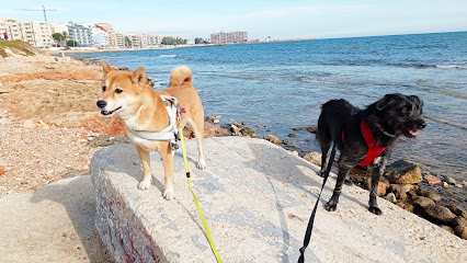 Dog Sitters- | Guardería para perros en Torrevieja