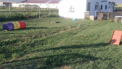 Albadekan | Adiestradores de perros en Doninos de Salamanca