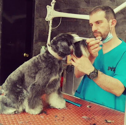 Pippo Peluquería Canina | Peluqueria para perros en Premià de Mar