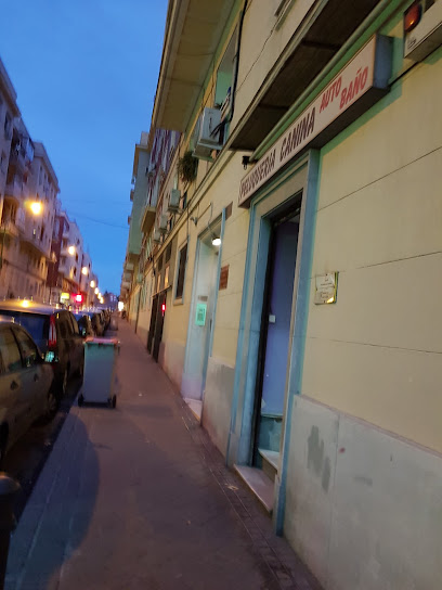 Santi | Peluqueria para perros en Madrid