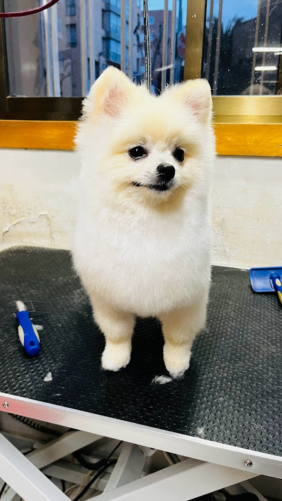 Ponme Guapo | Peluqueria para perros en Tudela