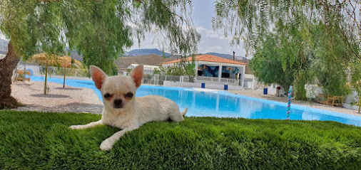 Resort Canino Didugal | Guardería para perros en Fines