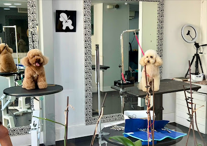 La Pelu de Montjuïc by Lluïsa Royo | Peluqueria para perros en Barcelona