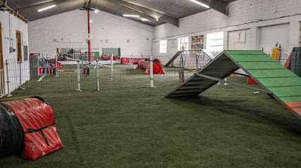 Canedupo | Guardería para perros en Muxa