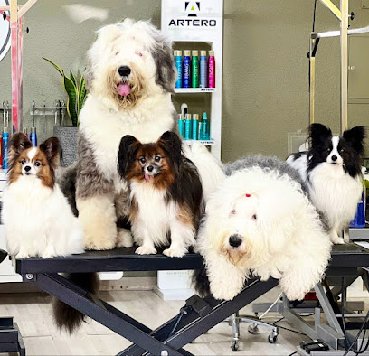 Papillonmadrid | Peluqueria para perros en Majadahonda