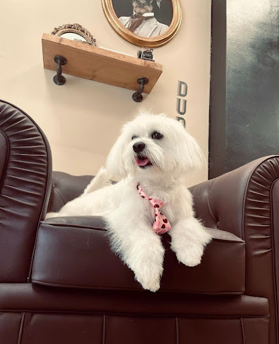 Dudog | Peluqueria para perros en Castelldefels