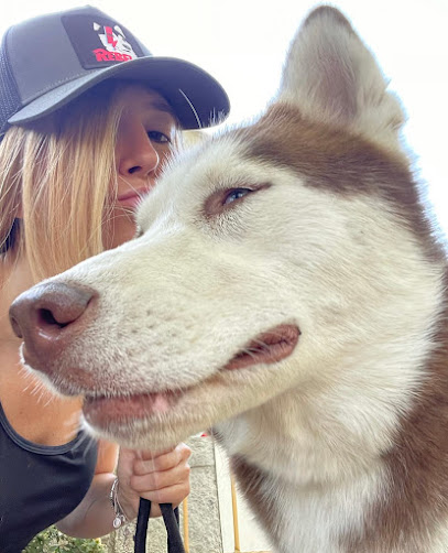 Ampe | Adiestradores de perros en Madrid