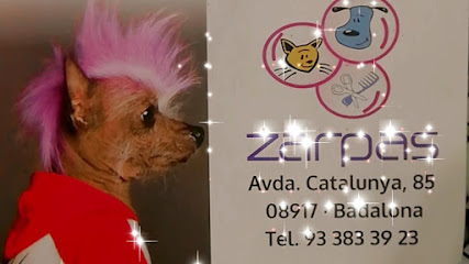 Zarpas | Peluqueria para perros en Badalona