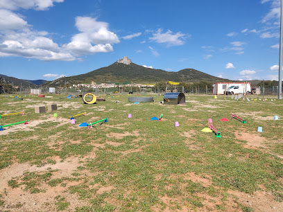 Escuela Canina Navarra | Adiestradores de perros en Unzue