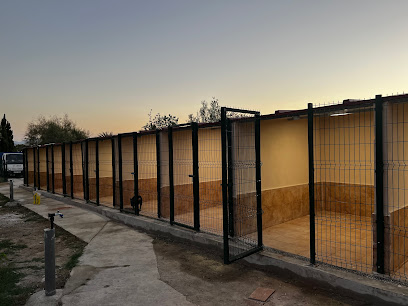 Can Resort | Guardería para perros en Santa Rosalia