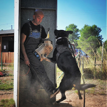 Club Canino SV 84 | Adiestradores de perros en Mont-roig del Camp