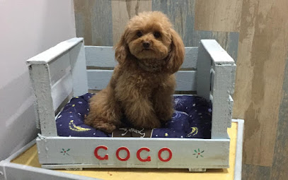 Gospèl | Peluqueria para perros en Premià de Mar