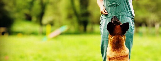 Llamada de Buck | Adiestradores de perros en Ontón